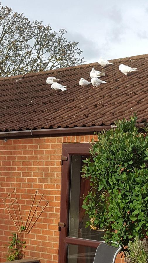 The White Dove Bed And Breakfast With Glamping Newark Showground Esterno foto